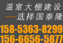 國泰隆聯系電話：158-5363-8299