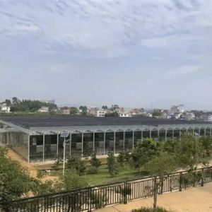 國泰隆安裝工程之八步區扶貧生態移民果蔬展示園建設如火如荼